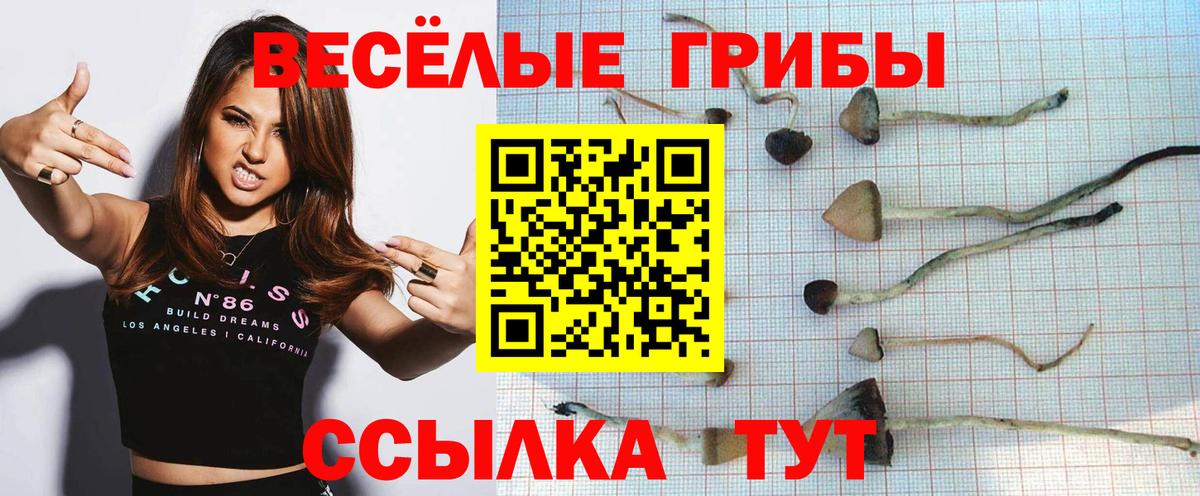 Псилоцибиновые грибы Magic Shrooms Лениногорск